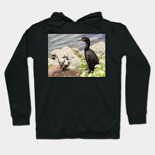 Cormorant Hoodie